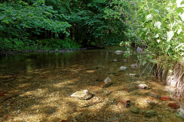 Hier ist der Wasserstand selbst für Paddler eine Herausforderung