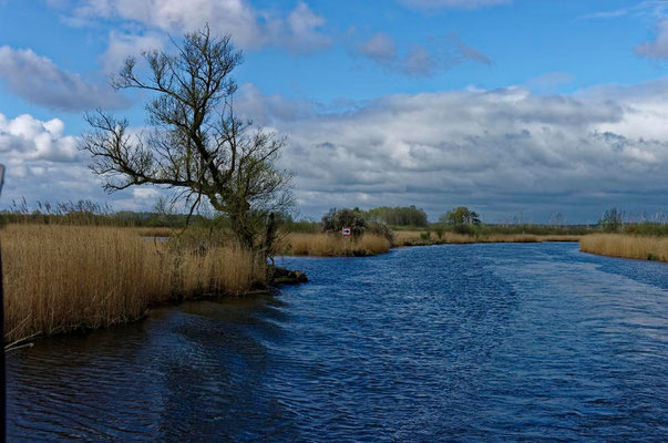 Impressionen von der Peene