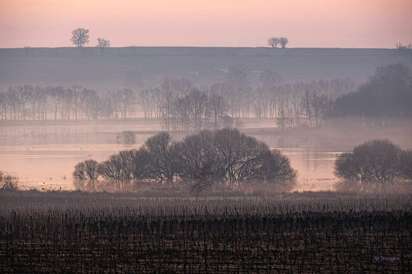 2026-07 _ A l'aube d'un nouveau jour, Marais de Goulaine (44), Hiver _ 80 x 120 cm _ 100 €