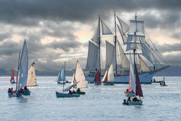 2025-020 _ Fête du Golfe (56) _ 100 * 150 cm _ 150 €