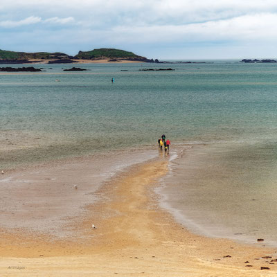 2024-123_Dinard plage__35 – Dinard