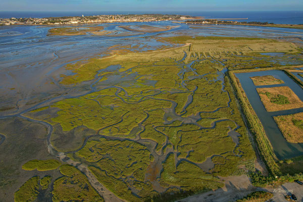 2026-121 _ La Presqu’île du Croisic (44) _ 40 x 60 cm _ 50 €