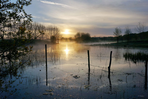 2024-47_Les débordements de dame Loire__44 – Loire Atlantique