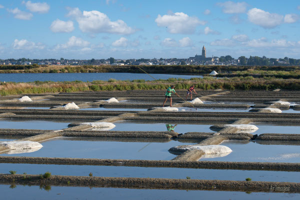 2026-86 _ Marais salants, Guérande (44) _ 40 x 60 cm _ 50 €