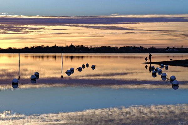 2024-134_Soleil d’or__56 – Noyalo