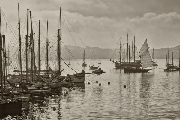 2025-139 _ Rassemblement à l’ancienne, Fêtes de Brest-Douarnenez (29) _ 40 * 60 cm _ 45 €