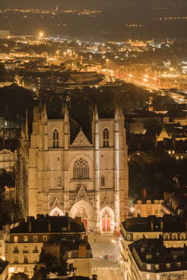2020-27__Cathédrale Saint-Pierre__Nantes (44)__100 * 150 cm__60 €