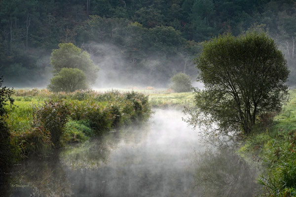 2026-01 _ Un charmant petit ru, Péaule (56) , Automne _ 80 x 120 cm _ 100 €