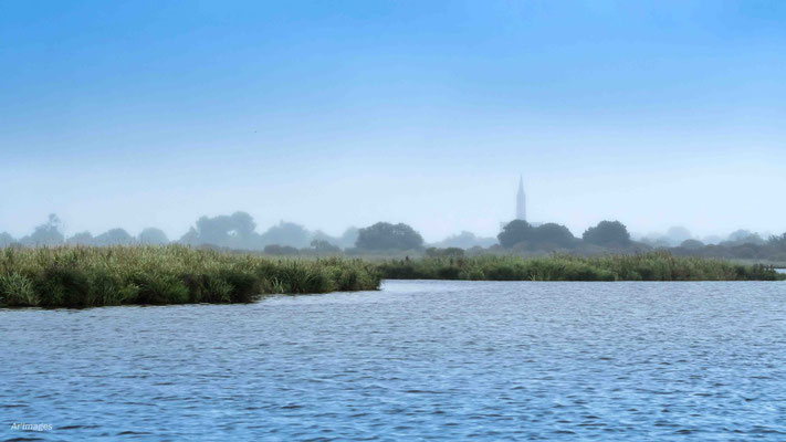 2023-135_Brume sur la Brière__Saint Joachim (44)__34 x 60_cm__30 €__KERKALON