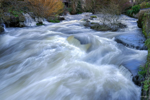 2024-04_L'Aven en crue__29 - Pont Aven