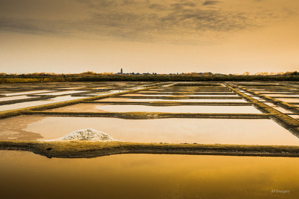 2026-51 _ Marais-salants, Guérande (44), Eté _ 80 x 120 cm _ 100 €