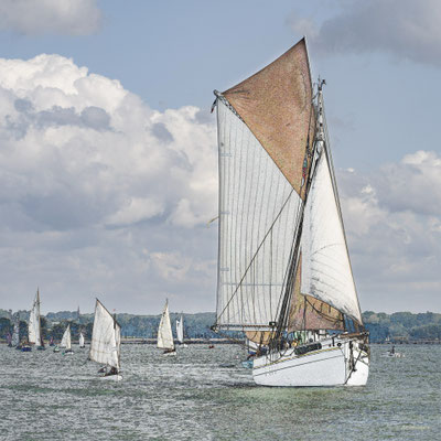 2025-040 _ Le Biche, fête du Golfe (56) _ 100 * 100 cm _ 100 €___VENDUE