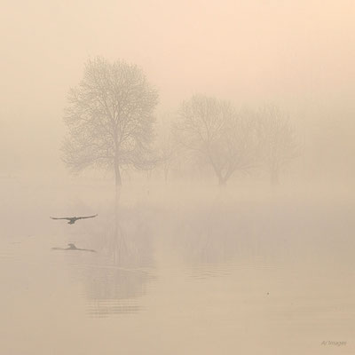 2024-148_Reflets sur le marais de Goulaine__44 – Loire Atlantique