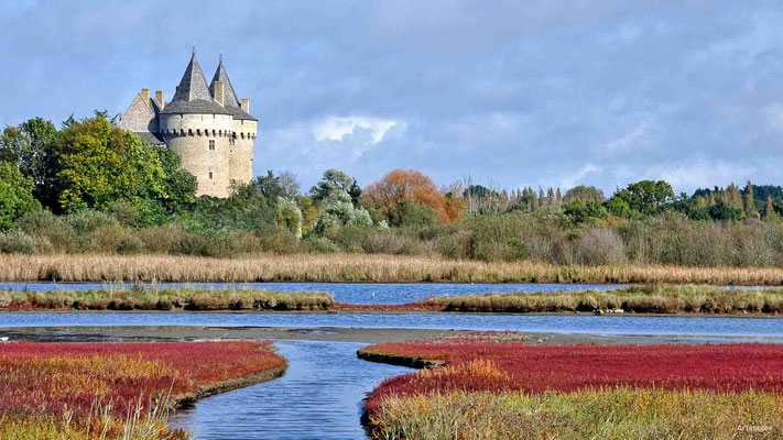 2023-125 _Un château des ducs, Suscinio (Sarzeau) (56)