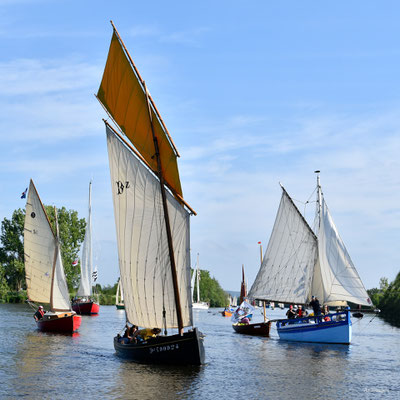 2025-157 _ Moira et la flotille, entre Foleux et Rieux _ 50 * 50 cm _ 50 €