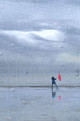 2024-25_Hiver à la plage__56 – Damgan