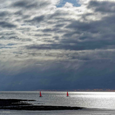 2023-117 _Les voiles rouges, Plage de Penvins - Presqu'île de Rhuys (56)