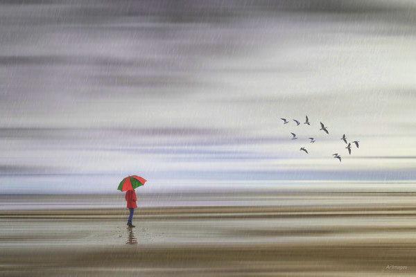 2024-58_Jour de pluie__56 – Damgan