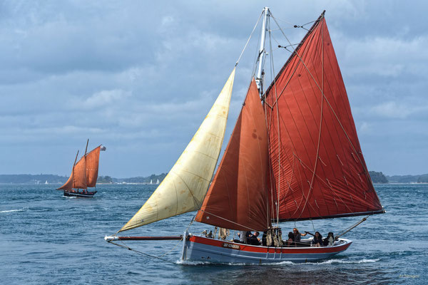 2025-05 _ Grandes Régates de Port-Navalo, Presqu’^ile de Rhuys (56) _ 80 * 120 cm _ 100 €___RESERVEE 