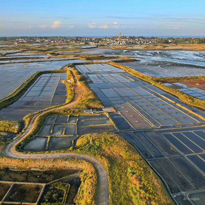 2023-16 _Saline de Sissable, Guérande (44)