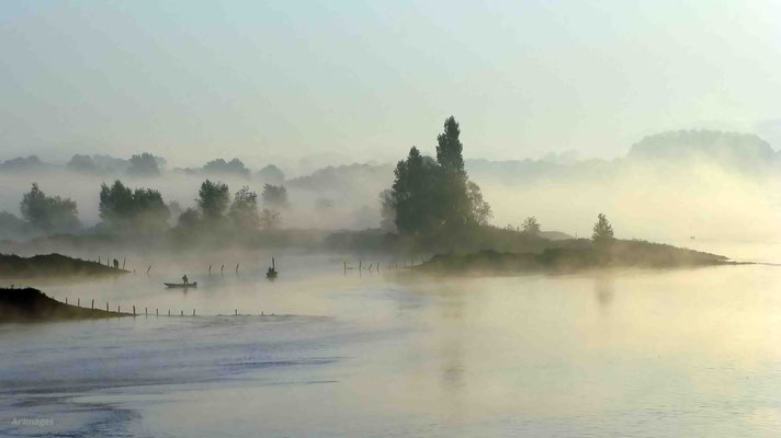 2023-92 _Un rêve de brume, Oudon (44)__34 x 60 cm___45 €___VENDUE