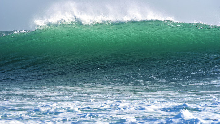 2024-80_La vague__29 – Sein__34 x 60_cm__45 €__VENDUE 
