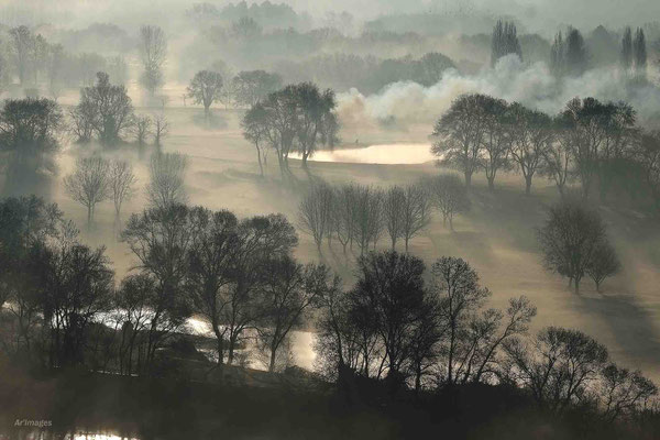 2023-90 _Golf de l'île d'or, Château de Clermont - Le Cellier (44)