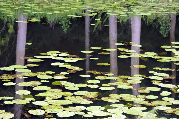 2026-116 _ Miroitements, Nantes (44) _ 40 x 60 cm _ 50 €