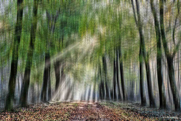 2023-111 _Rayons de soleil d’un matin d’automne, Saint-Jacut-les-pins (56)