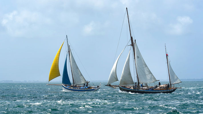 2025-043 _ Grandes régates de Port-Navalo (56) _ 100 * 178 cm _ 180 €___ VENDUE 