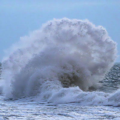 2024-76_Pantagruel__29 - Lesconil__50 x 50_cm__50 €___ RESERVEE 