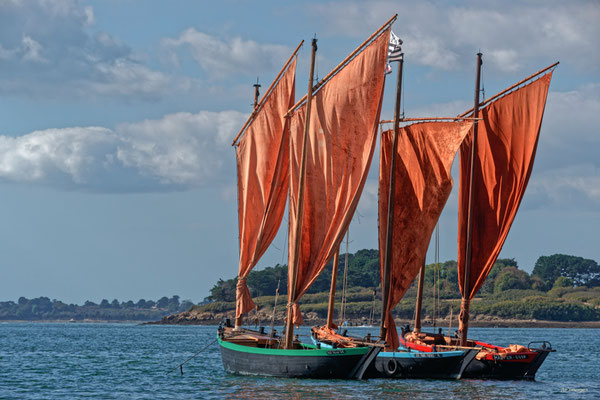 2025-09 _ Le Joli Vent, Les Trois Frères, Mab Er Guip, Golfe du Morbihan (56) _ 80 * 120 cm _ 100 €__ VENDUE