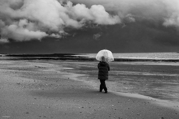 2024-119_Le grain sur le Rohaliguen__56 – Sarzeau__40 x 60_cm__45 €