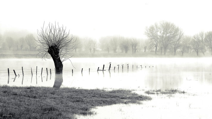 2024-97_La trogne échevelée__44 – Loire Atlantique__34 x 60_cm__45 €__KERKALON
