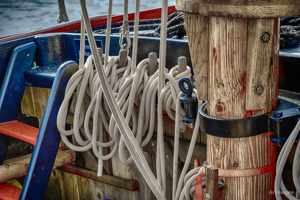 2025-143 _ Sur l’Enez Koalen, Paimpol (22) _ 50 * 50 cm _ 50 €__KERKALON