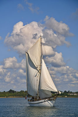 2025-068 _ Lola, Fête du Golfe (56) _ 60 * 90 cm _ 70 €___  VENDUE