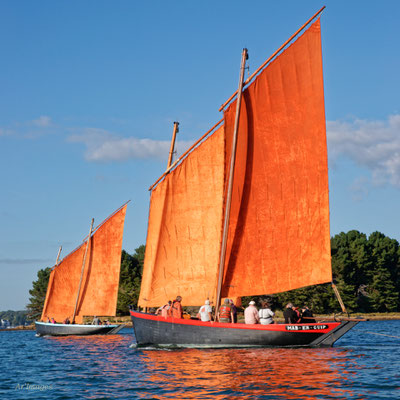 2025-044 _ Les Trois Frères & Mab Er Guip : deux sinagos sous le vent, Golfe du Morbihan (56) _ 100 * 100 cm _ 100 €