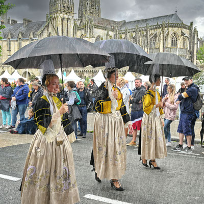 2024-23_Les fêtes de Cornouailles__29 - Quimper__100 x 100_cm__100 €__VENDUE