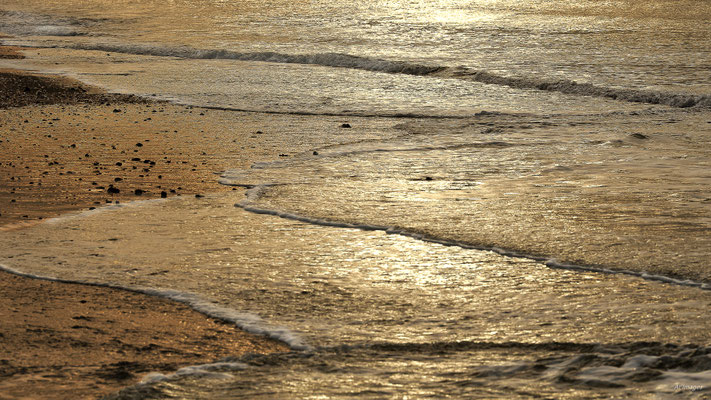 2024-107_Vagues d'or__56 – St Gildas de Rhuys