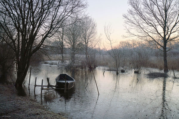 2024-91_L’hiver en Brière__44 – Brière__40 x 60_cm__45 €__VENDUE 
