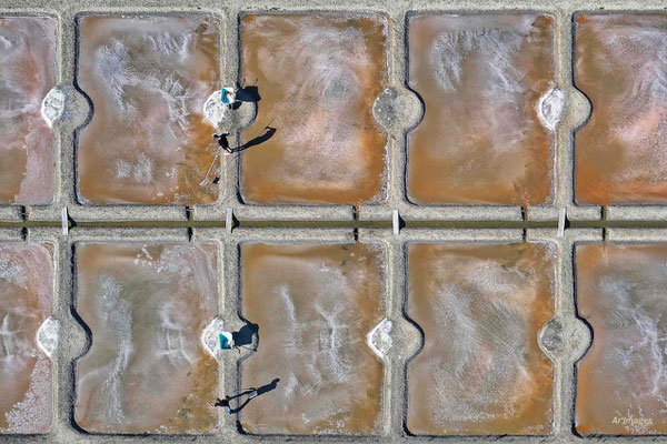 2023-93 _Récolte de la fleur de sel, Marais salants de Guérande (44)