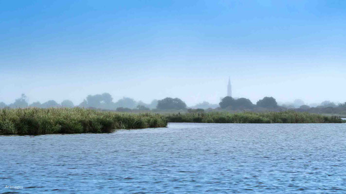 2023-135 _Brume sur la Brière, Saint Joachim (44)