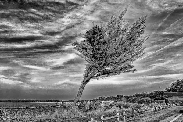 2023-147 _Tempête à Pen Bé, Assérac (44)