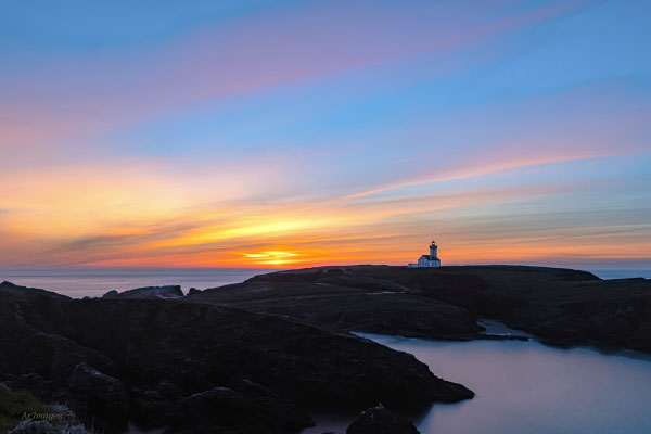 2026-08 _ La pointe des Poulains, Belle-Île en mer (56), Printemps _ 80 x 120 cm _ 100 €