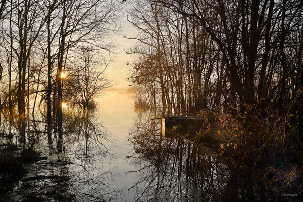 2024-50_Marais de la Goulaine au lever du jour__44 – Loire Atlantique