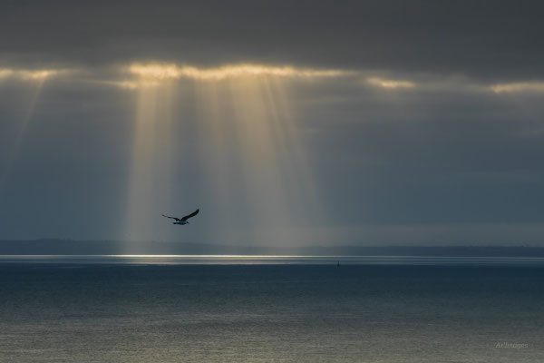 2026-02 _ Vers la lueur au-dessus du cap Fréhel (22), Hiver _ 80 x 120 cm _ 100 €