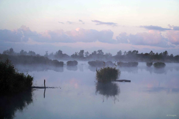 2023-144 _Couleurs pastel d'un soir sur le marais, Marais de la Brière à Kerfeuille (44)
