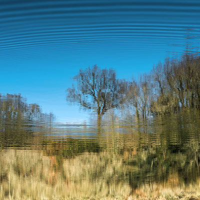 2024-118_Etand de Pen Mur__56 – Morbihan
