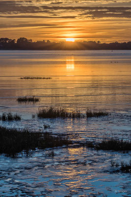 2024-44_Lever glacé sur le Golfe du Morbihan__56 – Morbihan