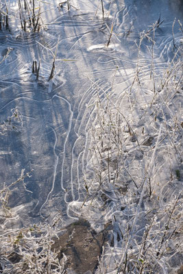 2024-162_Matin glacé__56 – Pénestin__40 x 60_cm